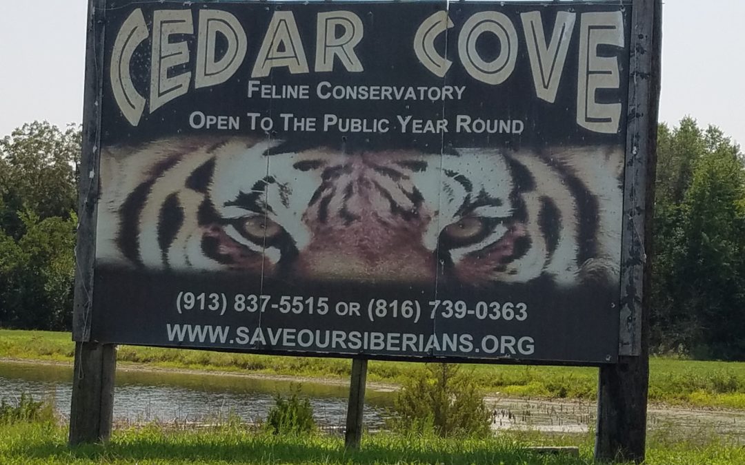 Cedar Cove Feline Conservatory & Education Center – Louisburg, Kansas
