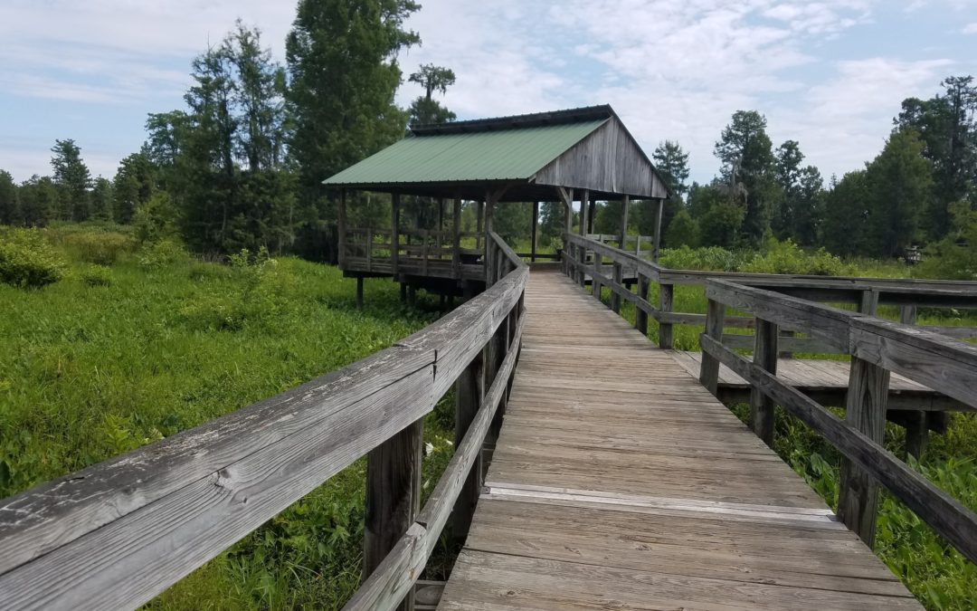 Phinizy Swamp Nature Park – Augusta Georgia